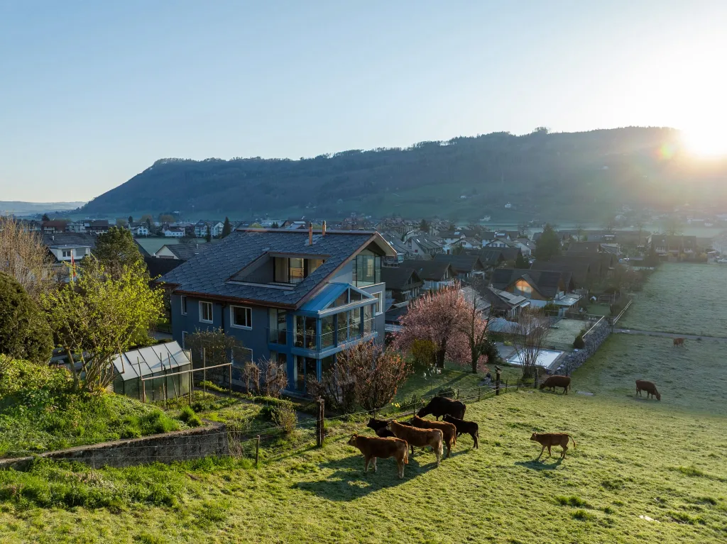 Enerium Solar est né pour rendre la solarisation évidente, maîtrisée et créatrice de valeur